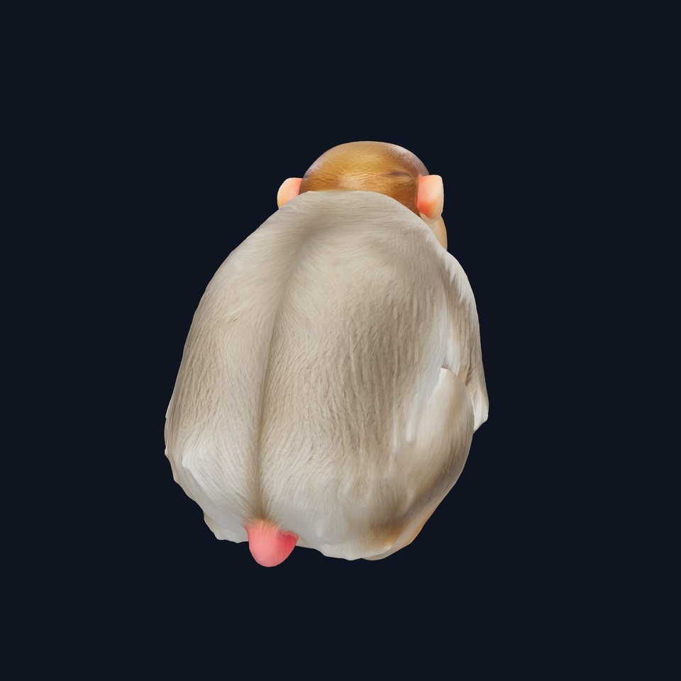 Japanese Macaque 3D Model with Detailed Winter Coat